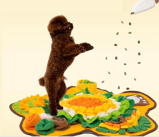 Tapis de Jeu en Tissu Alimentaire pour Chiens