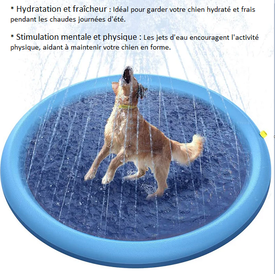 Tapis d'Arrosage pour Chien