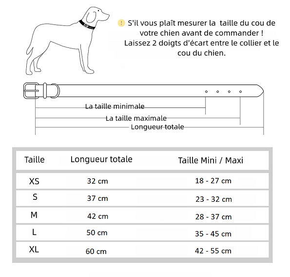 Collier en cuir Personnalisé pour Chien