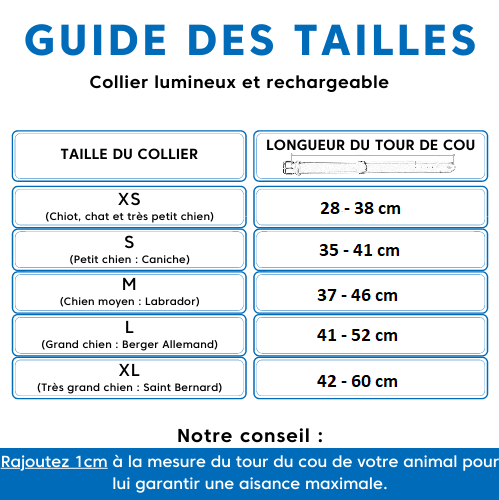 Colliers Lumineux