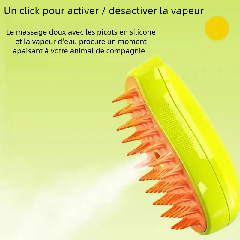 Brosse à Vapeur