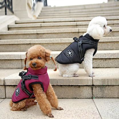 Manteau Imperméable pour Chien