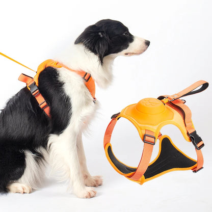 Harnais & Laisse rétractable 2 en 1 pour chien de moyenne et grande taille