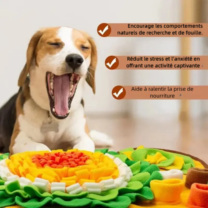 Tapis de Jeu en Tissu Alimentaire pour Chiens