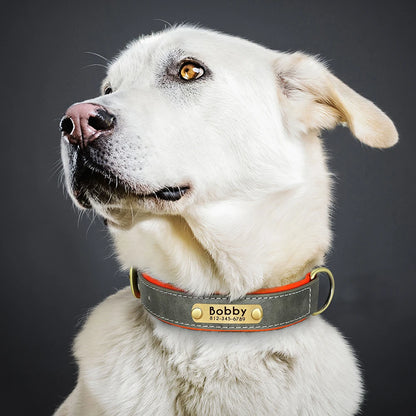 Collier en cuir Personnalisé pour Chien