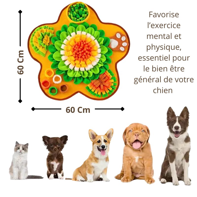 Tapis de Jeu en Tissu Alimentaire pour Chiens